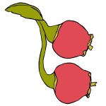 Billberry logo