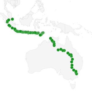 map of Australia and Indonesia with a series of green dots showing the approximate stops along Ian's journey